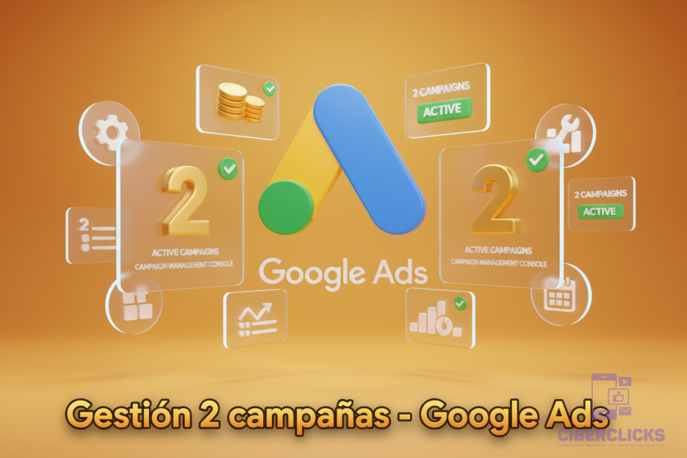 Gestión 2 campañas - Google Ads