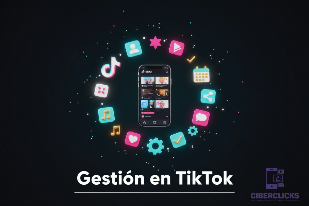 Gestión en TikTok